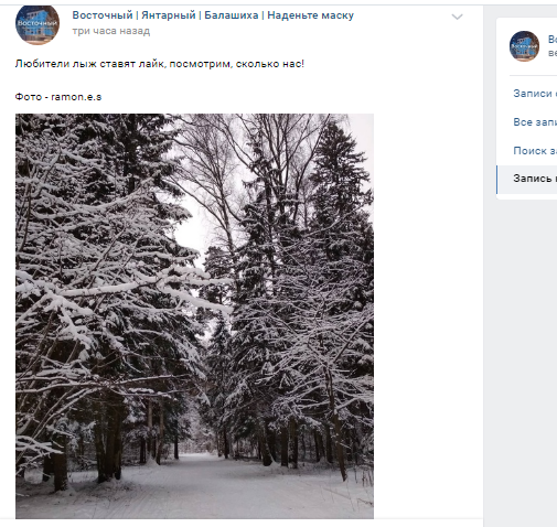 Фото дня: заснеженный лес в Восточном